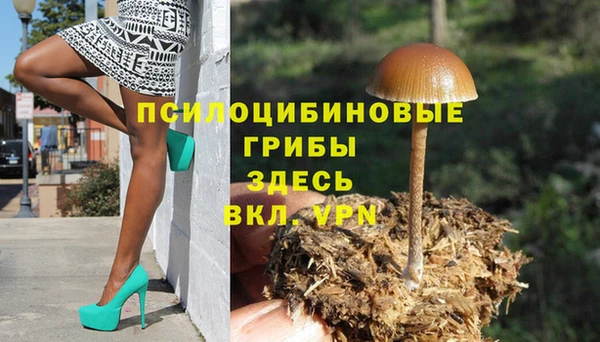 ПСИЛОЦИБИНОВЫЕ ГРИБЫ Верхнеуральск