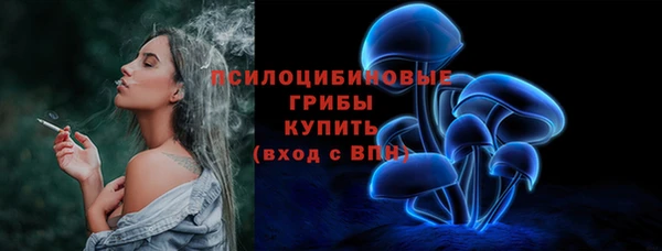 ПСИЛОЦИБИНОВЫЕ ГРИБЫ Верхнеуральск