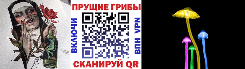 Псилоцибиновые грибы мицелий  Очёр 